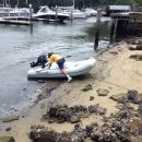 Balls Head Bay.: Trying out a new spot to leave the dinghy.  